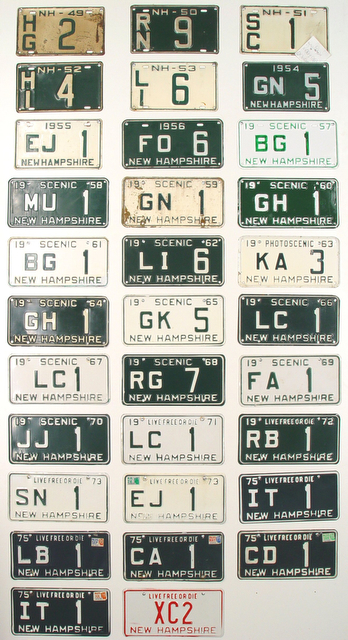 Panel 15